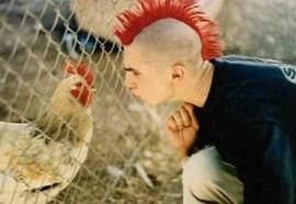 punk.jpg